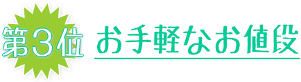 お手頃なお値段